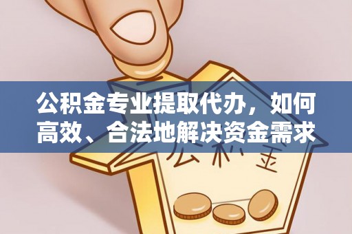 光复公积金专业提取代办，如何高效、合法地解决资金需求？